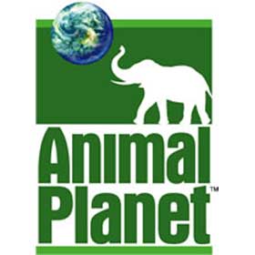 http://www.jamesnava.com/wp-content/uploads/2009/01/animal-planet.jpg