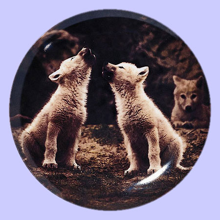 art first-song wolf