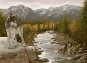 art wolves wilderness