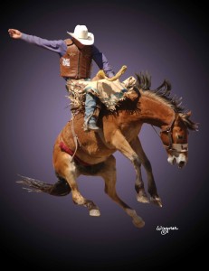 arnold-bronc-web_pu6e