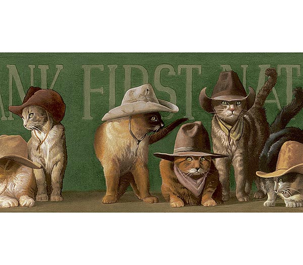 cowboys cats