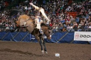 rodeo0