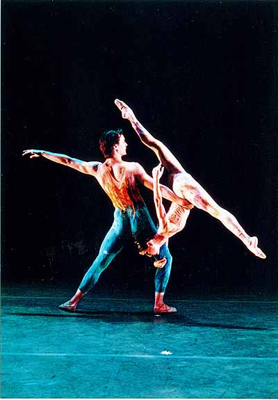 angel_corella_yan_chen_meadow