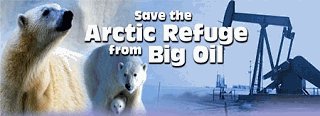 save_arctic_wildlife_refuge