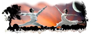 title_ocio_cultura_casa_danza_angel_corella