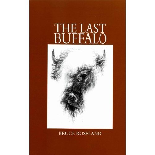 BK_TheLastBuffalo