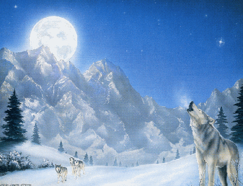 art wolves-in-snow