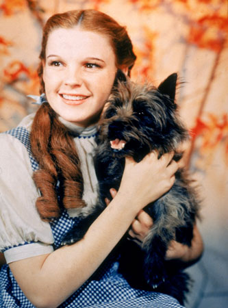 The Wizard of Oz dorothy