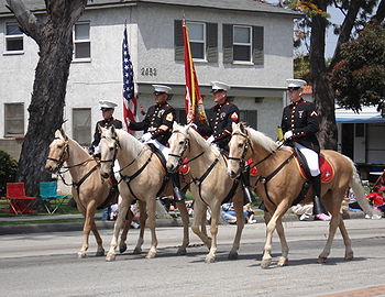 USMC_horses 350