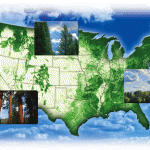 Mapa de los bosques de Estados Unidos
