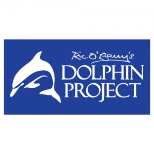 delfín1