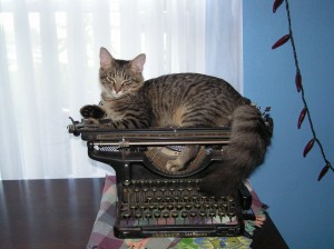 KONICA MINOLTA DIGITAL CAMERA