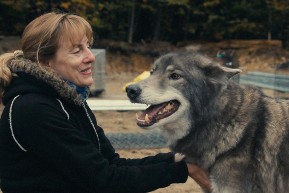 Warriors & Wolves