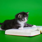 Comprensión lectora